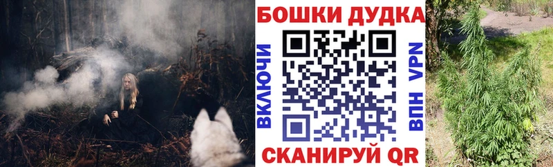 ГЕРОИН Димитровград