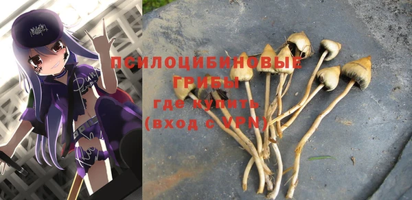 прущие крисы Абинск