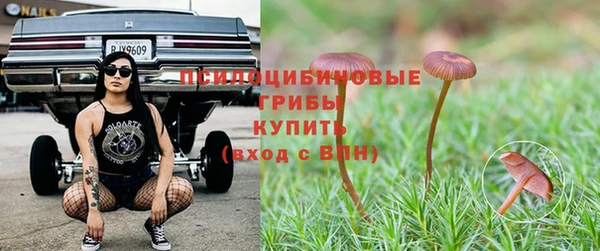 ешки Абаза