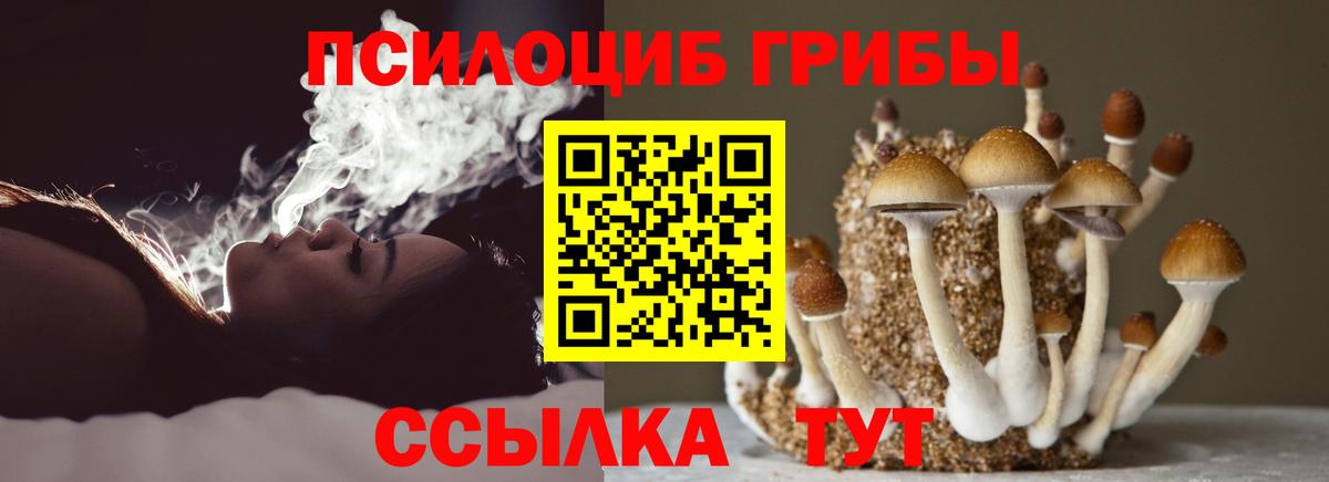 Псилоцибиновые грибы Magic Shrooms Димитровград