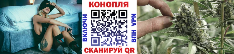 закладка Димитровград Бошки Шишки ГИДРОПОН